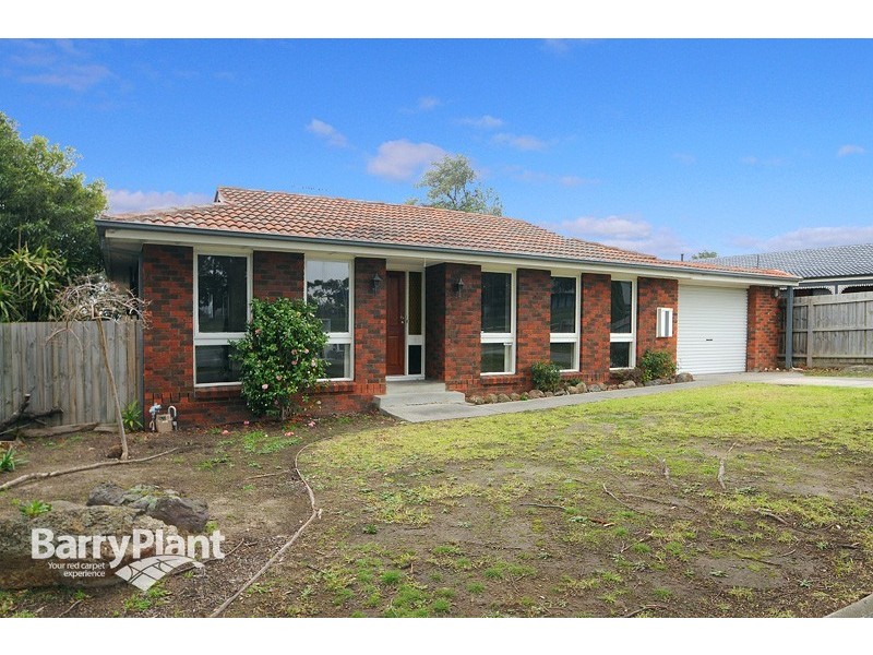 14 David Collins Drive, Endeavour Hills VIC 3802