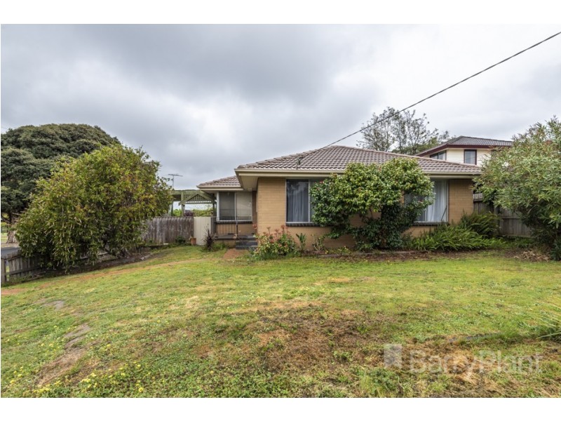 64 Neasham Drive, Dandenong North VIC 3175