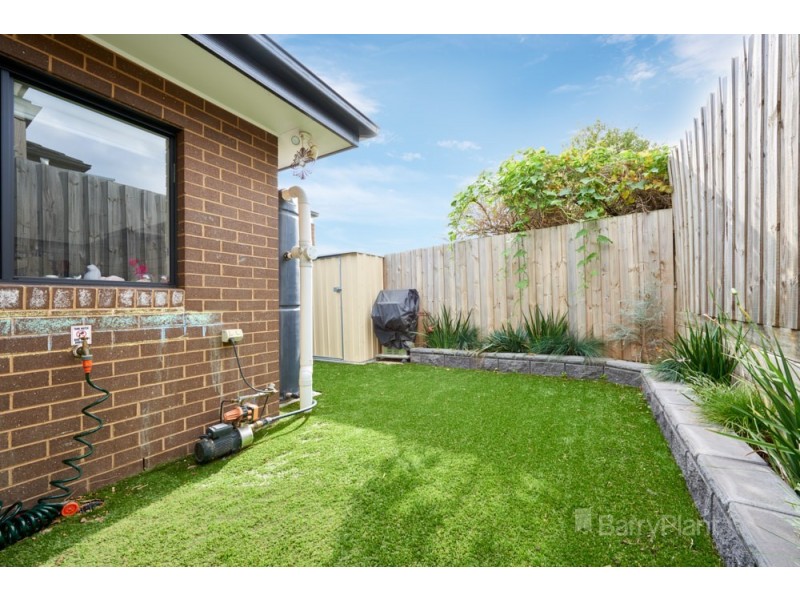 8 Stenocarpus Drive, Doveton VIC 3177