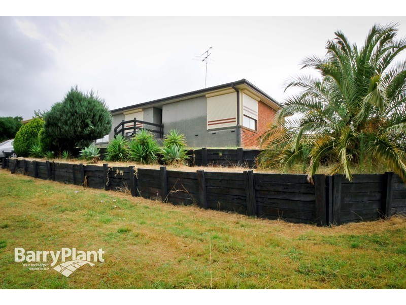 14 Peebles Street, Endeavour Hills VIC 3802