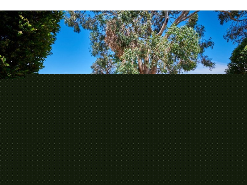 12 Barnett Grove, Noble Park VIC 3174