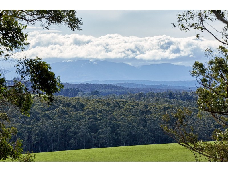 682 Nilma-Shady Creek Road, Nilma North VIC 3821