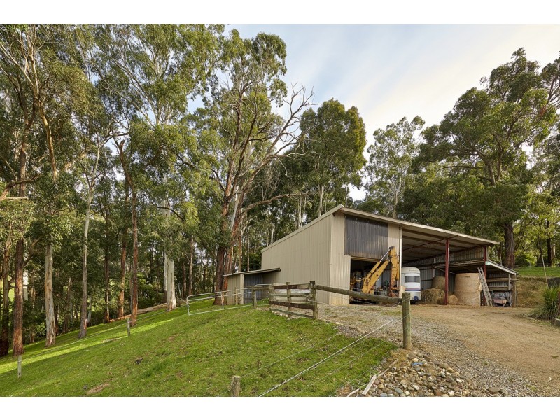 8 McIntyre Road, Yarragon VIC 3823