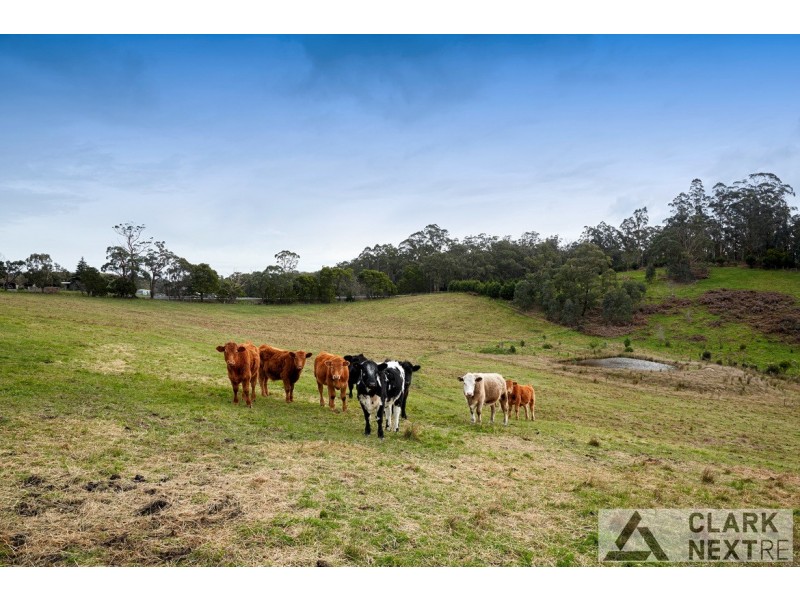 1430 Bloomfield Road, Crossover VIC 3821