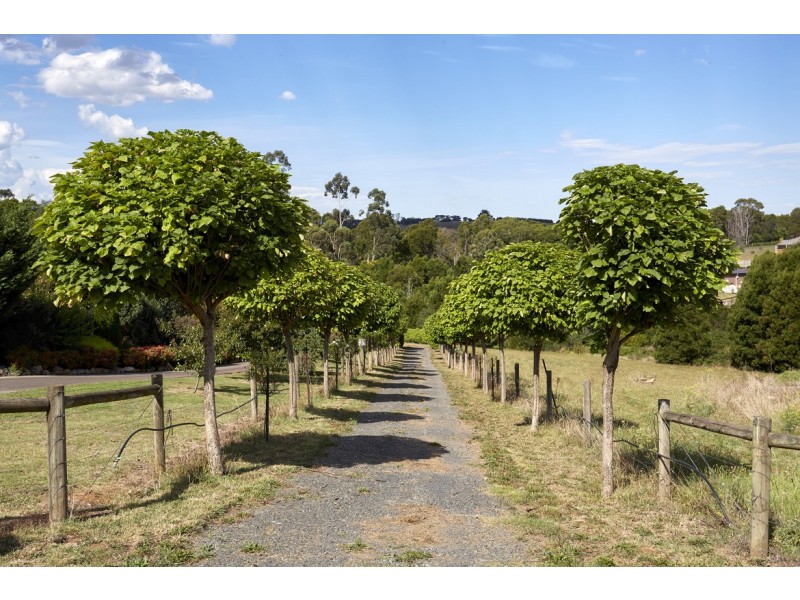 170 Hopetoun Road, Drouin VIC 3818