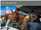 Tarago Rise, Neerim South VIC 3831
