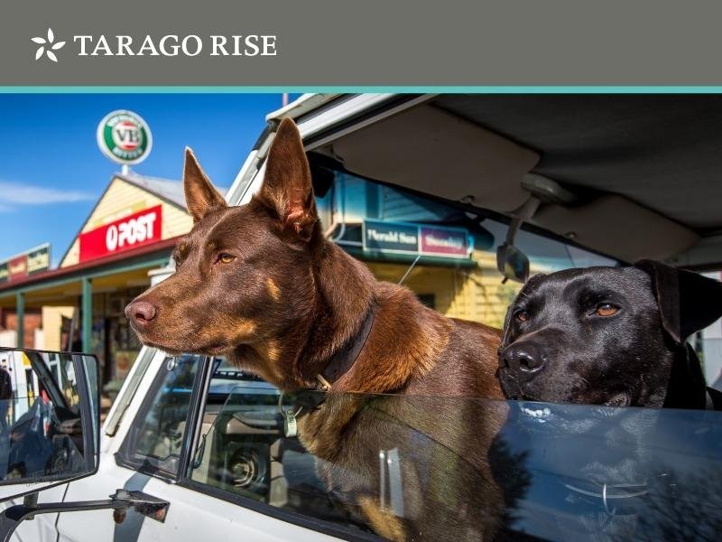 Tarago Rise, Neerim South VIC 3831