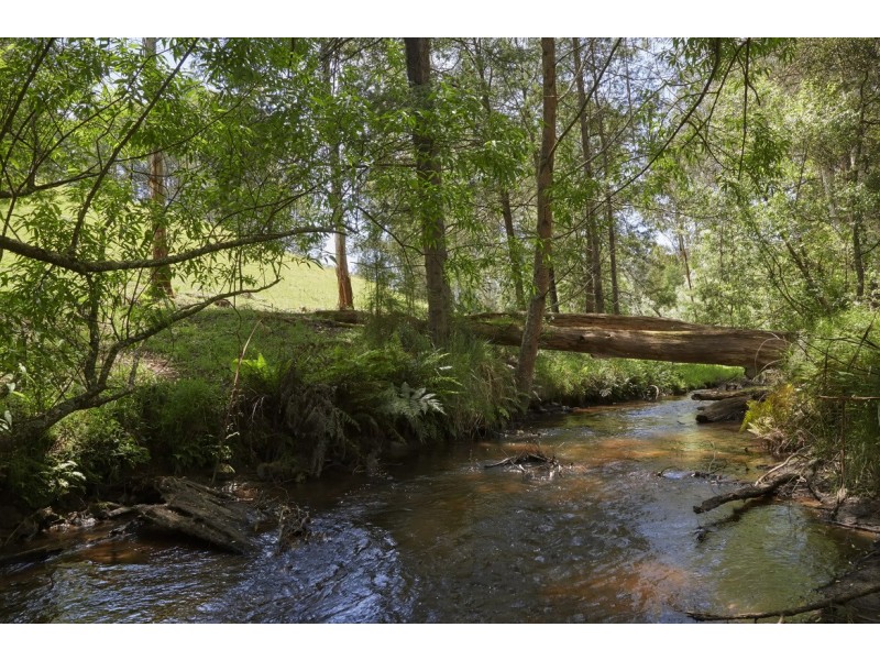 195 Loch Valley Road, Noojee VIC 3833