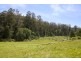 195 Loch Valley Road, Noojee VIC 3833