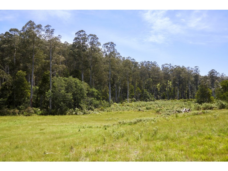 195 Loch Valley Road, Noojee VIC 3833