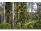195 Loch Valley Road, Noojee VIC 3833