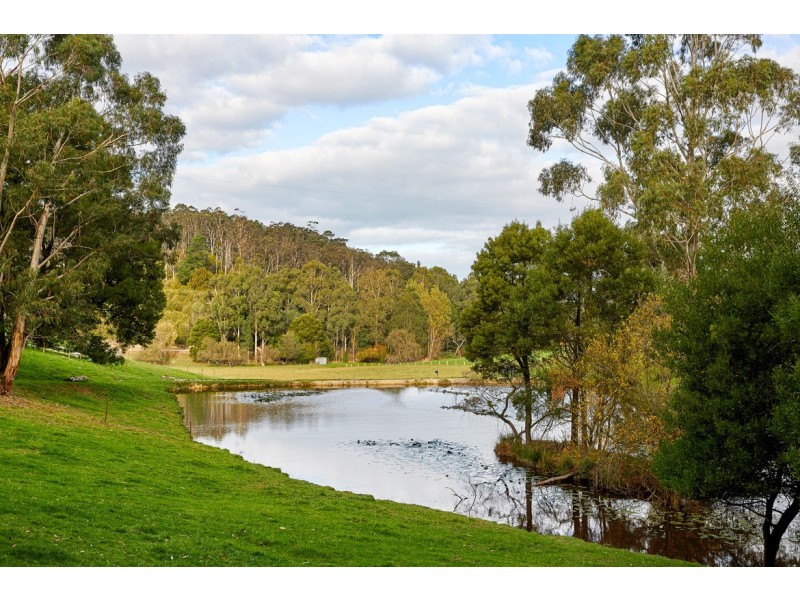 410 Neerim East Road, Neerim South VIC 3831