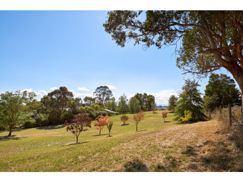 45 Old Sale Road, Buln Buln VIC 3821