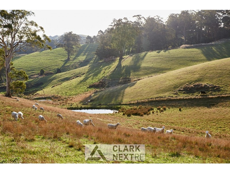 1921 Korumburra Warragul Road, Mountain View VIC 3988