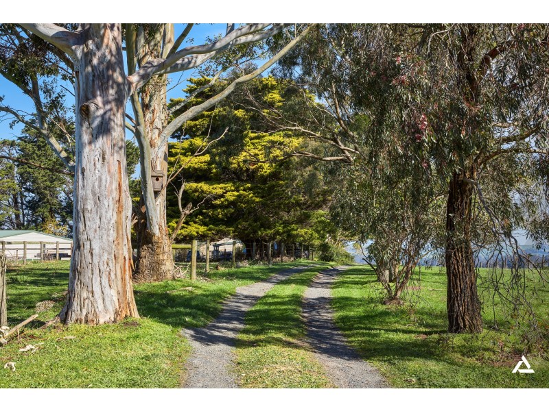 101 Shearn Road, Jindivick VIC 3818