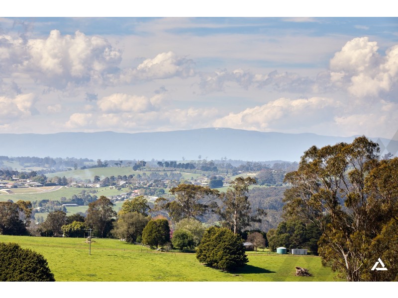 101 Shearn Road, Jindivick VIC 3818