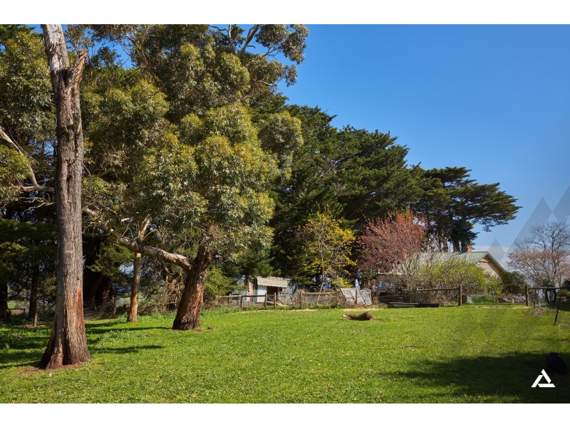 101 Shearn Road, Jindivick VIC 3818