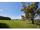 101 Shearn Road, Jindivick VIC 3818