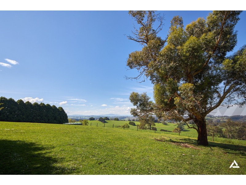 101 Shearn Road, Jindivick VIC 3818