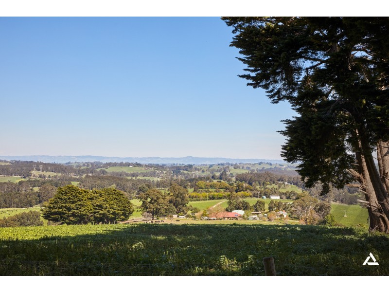 101 Shearn Road, Jindivick VIC 3818