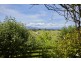 930 Neerim East Road, Neerim East VIC 3831