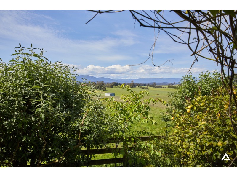 930 Neerim East Road, Neerim East VIC 3831