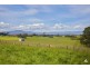 930 Neerim East Road, Neerim East VIC 3831