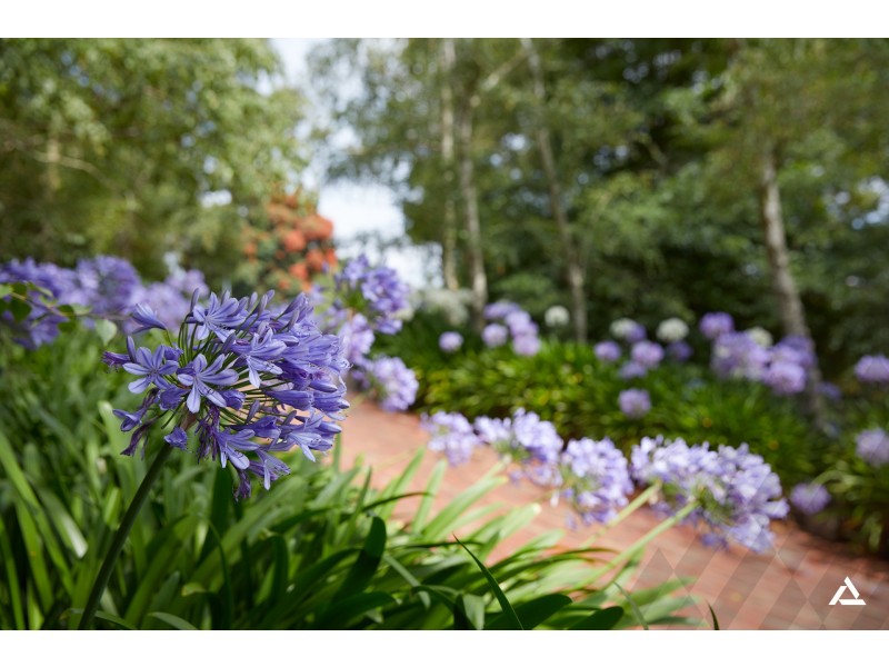 17 Canawindi Drive, Warragul VIC 3820