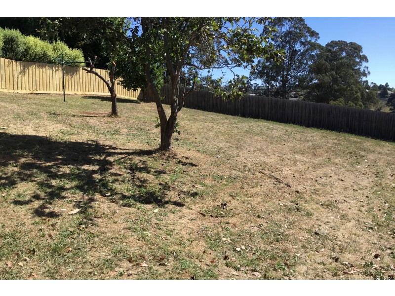 17 Tracie Court, Drouin VIC 3818