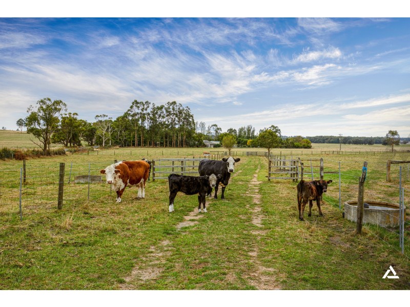 475 Drouin Korumburra Road, Drouin South VIC 3818