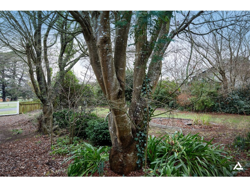 155-157 Nayook-Powelltown Road, Nayook VIC 3832