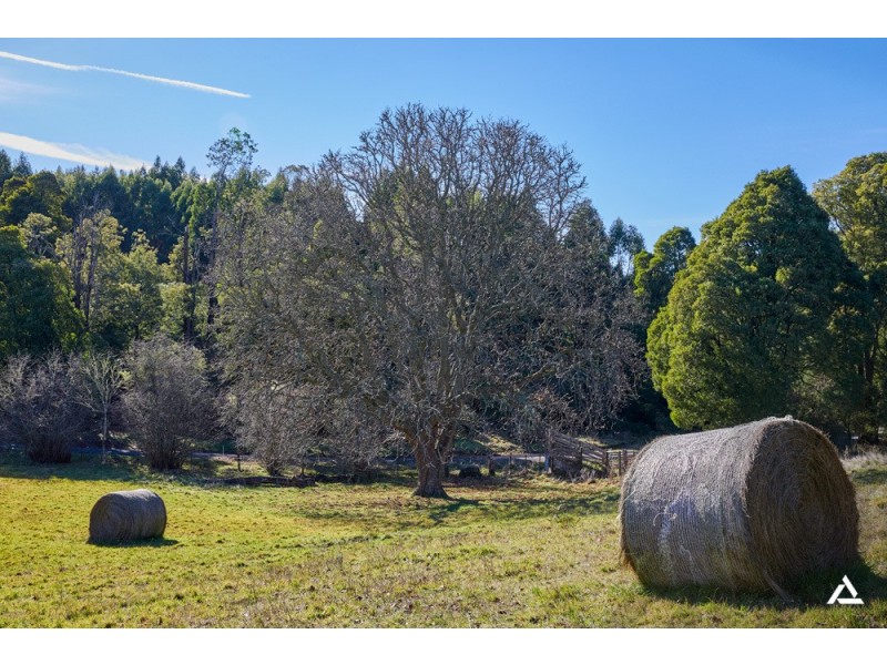 280 Childers Settlement Road, Childers VIC 3824