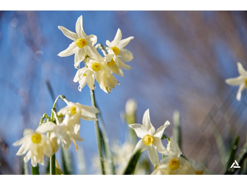 26 Platts Road, Buln Buln VIC 3821