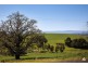 1020 Jacksons Track, Jindivick VIC 3818