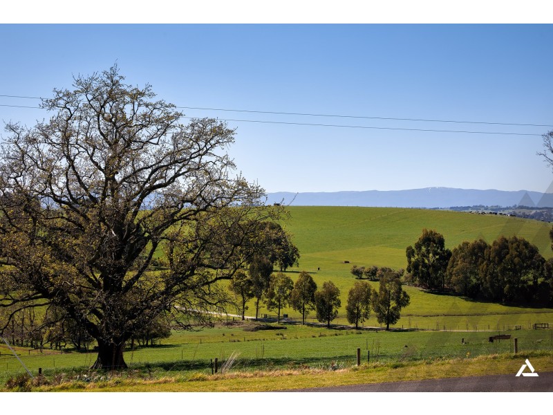 1020 Jacksons Track, Jindivick VIC 3818