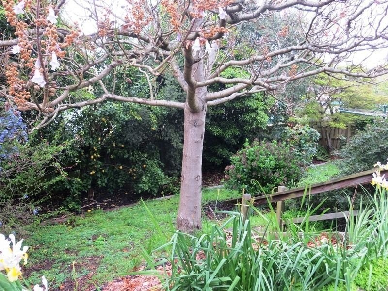 28 Clifford Street, Warragul VIC 3820