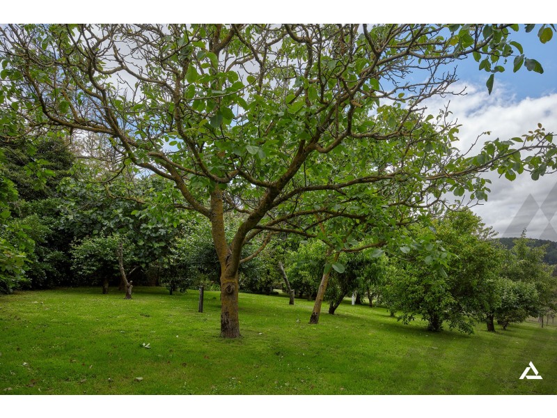 355 One Chain Road, Kardella VIC 3951