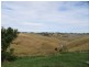 2182 Lardners Track, Tetoora Road VIC 3821