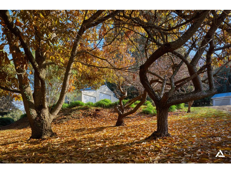 150 McIntyre Road, Nayook VIC 3832