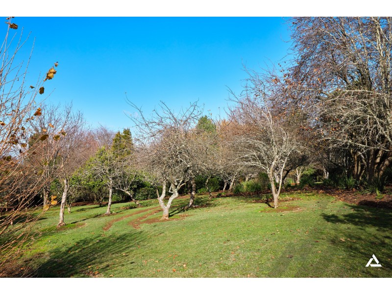 150 McIntyre Road, Nayook VIC 3832