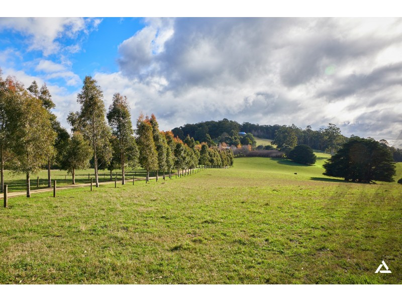 150 McIntyre Road, Nayook VIC 3832