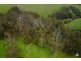 125 Rendell Road, Neerim East VIC 3831