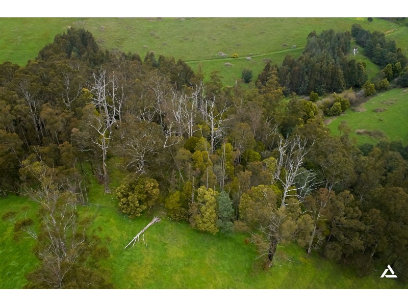 125 Rendell Road, Neerim East VIC 3831