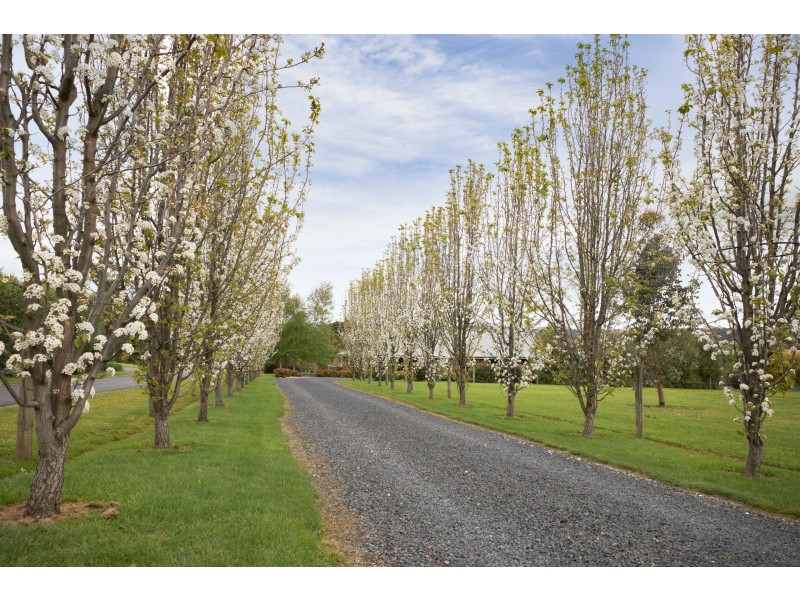 6 Oxley Court, Drouin VIC 3818