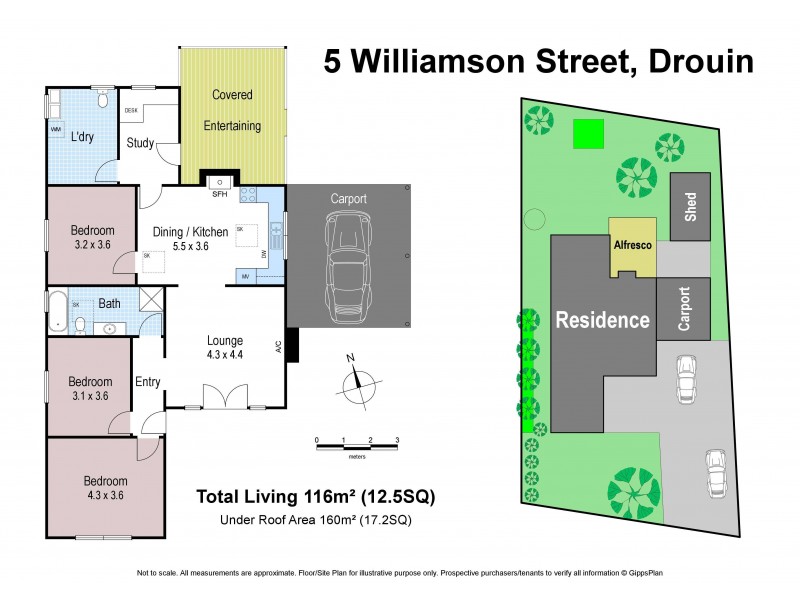 5 Williamson Street, Drouin VIC 3818 Floorplan