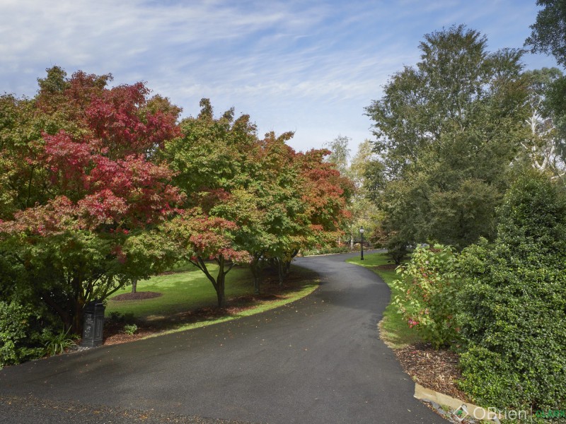 46 Gibson Road, Warragul VIC 3820