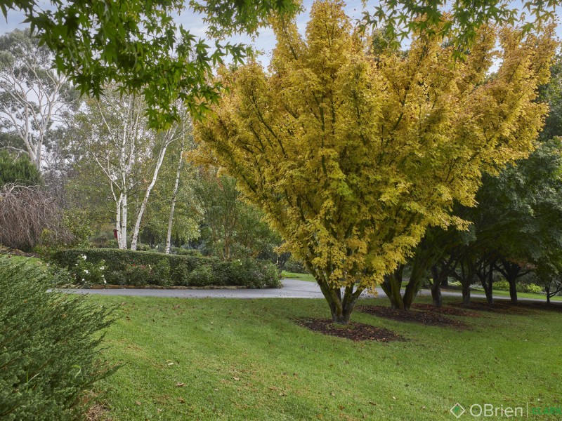 46 Gibson Road, Warragul VIC 3820