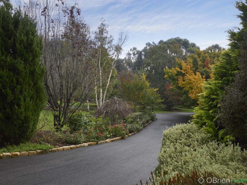 46 Gibson Road, Warragul VIC 3820