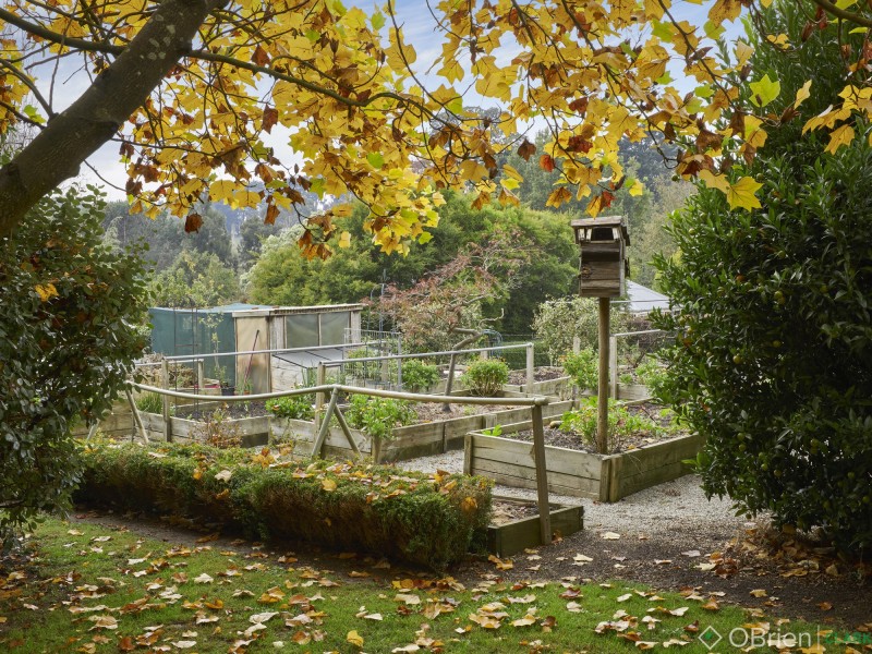 46 Gibson Road, Warragul VIC 3820