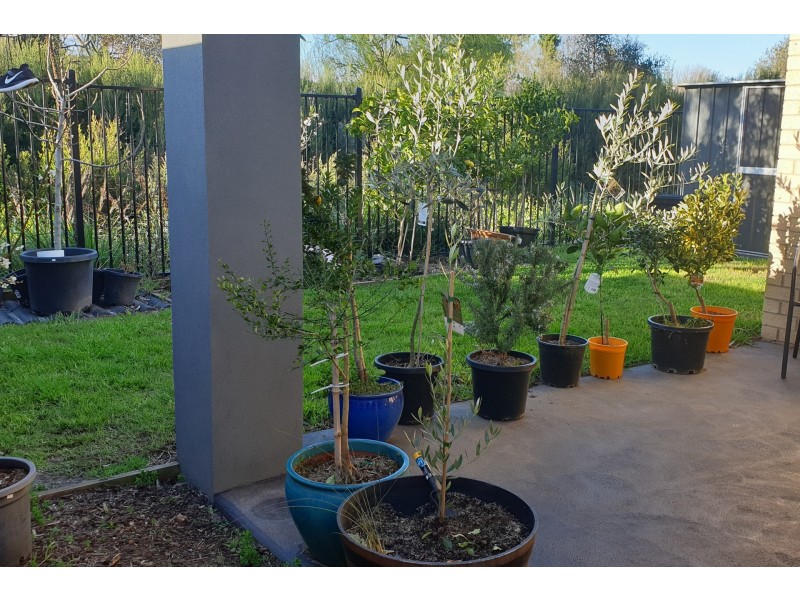 16/225 Sutton Street, Warragul VIC 3820